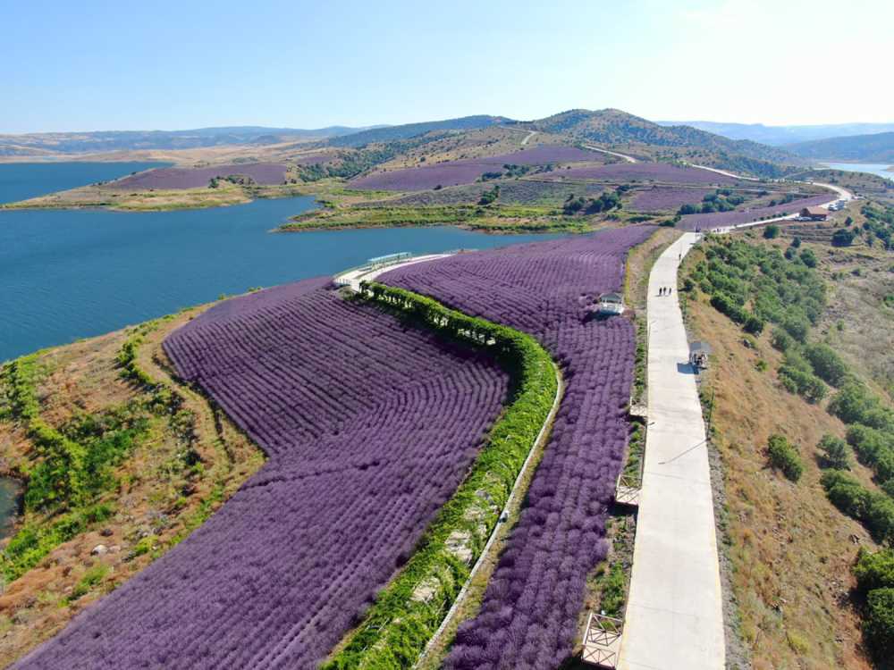 Yozgat Lavanta, Doğa ve rafting turu 2250 TL